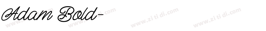 Adam Bold字体转换